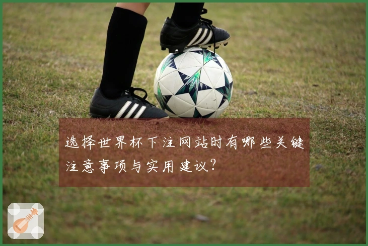 选择世界杯下注网站时有哪些关键注意事项与实用建议？