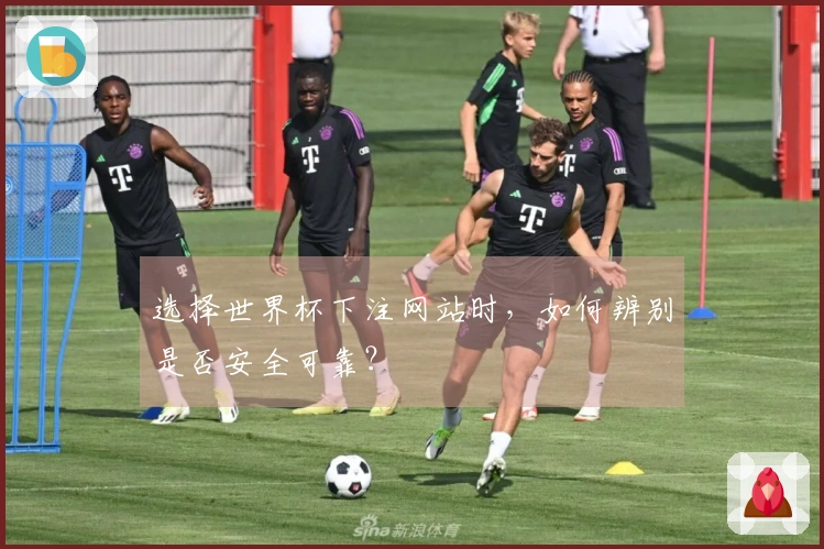 选择世界杯下注网站时，如何辨别是否安全可靠？