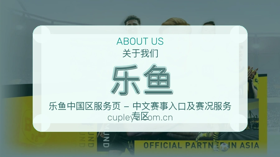 乐鱼关于平台与用户服务展示
